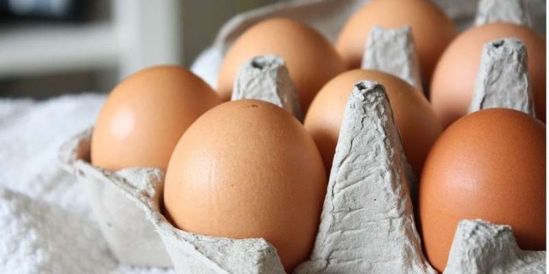 Поляки пішли. Канадський холдинг збільшив частку в найбільшому українському виробнику яєць