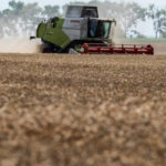 У Євросоюзі не хочуть продовжувати ембарго на українське зерно попри заклики окремих країн