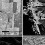 Учені знайшли сотні давньоримських фортів на розсекречених супутникових знімках часів Холодної війни
