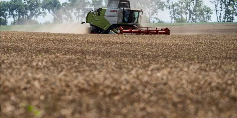 Україна «поставила на паузу» зернову скаргу в СОТ проти Польщі, Угорщини та Словаччини — Мінекономіки
