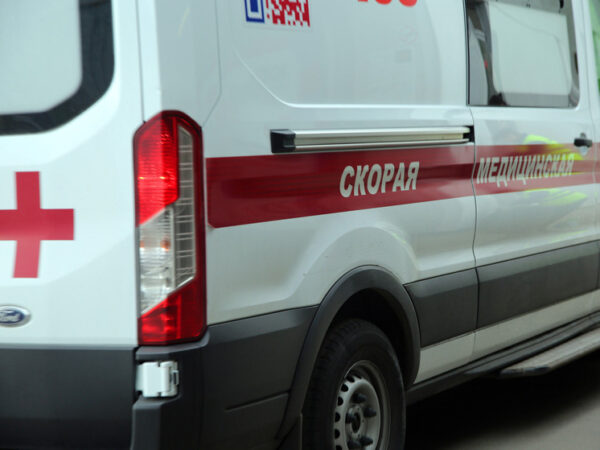 В российском регионе грузовой поезд насмерть сбил мужчину и двух детей
