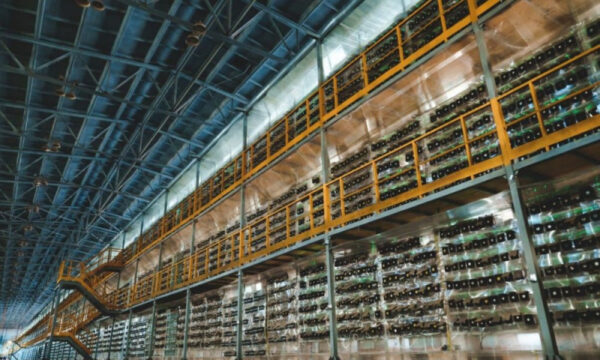 В отношении холдинговой группы компании BitRiver начата процедура банкротства