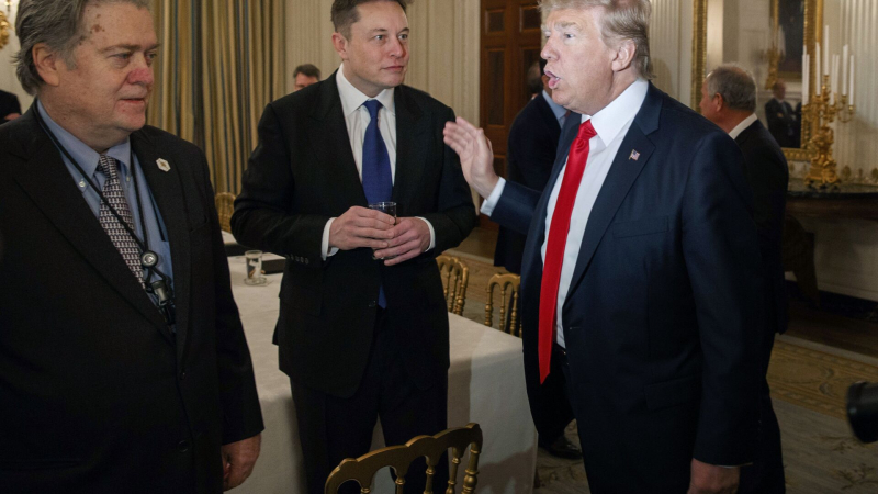 Трамп заявил, что Маск может оставаться в правительстве сколько захочет